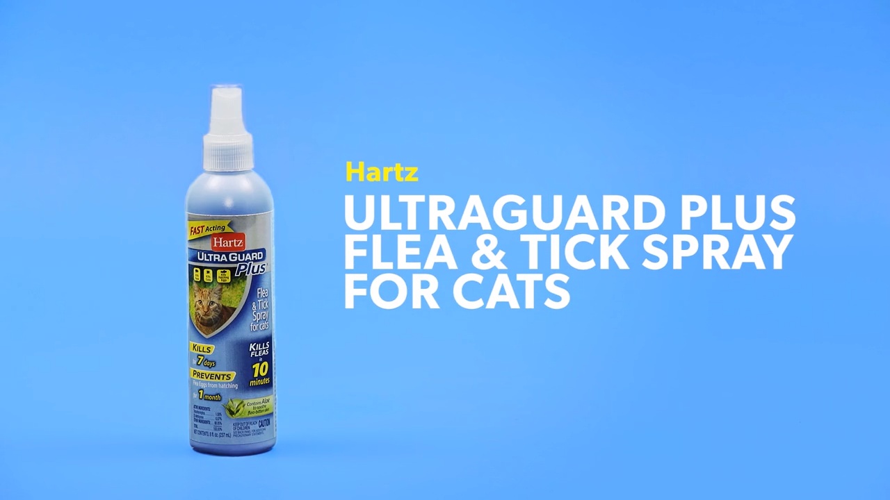 Ultraguard plus flea and tick outlet spray