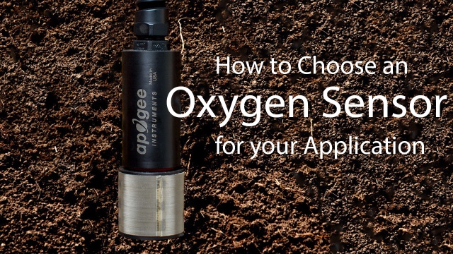 Oxygen Sensor FAQs