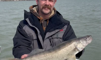 Lakeside Marblehead Report Video 1