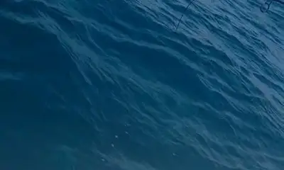 Amazing fishing trip