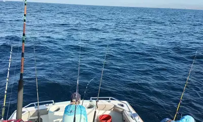 Cabo San Lucas Report Video 2