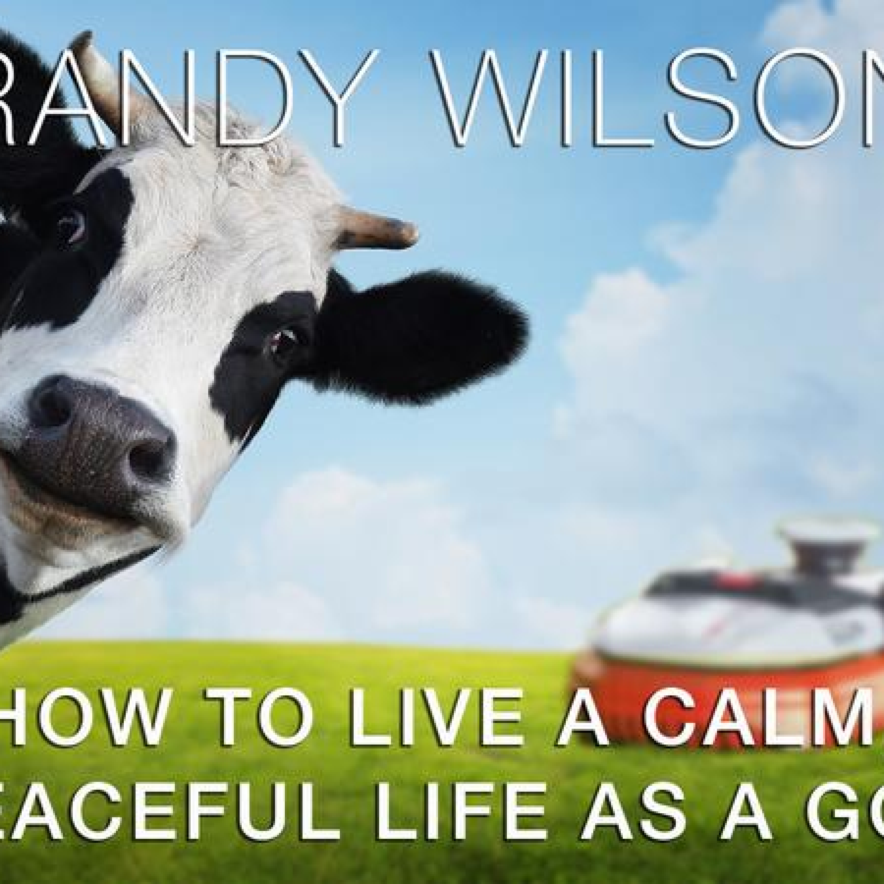 Rockbottum Radio: How to live a calm, peaceful life as a GCS