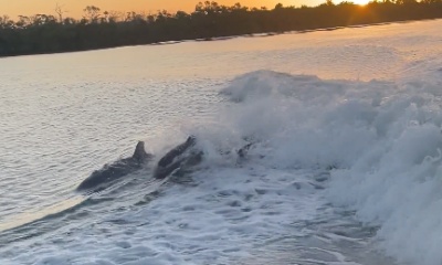 Great day for the family