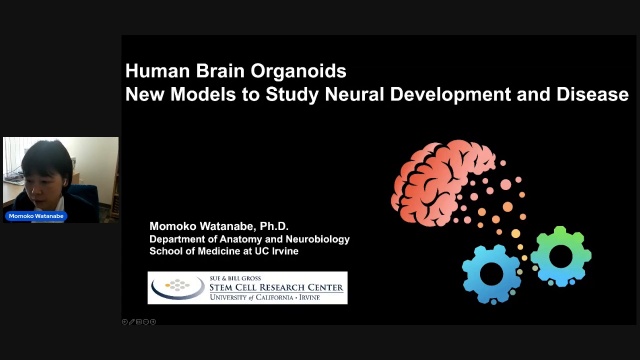 Human brain organoids to study neural development and disease - Momoko Watanabe, Ph.D., UC Irvine