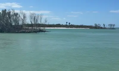 Great Boat! Great Captain! 