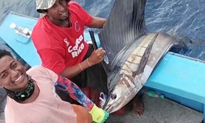 Watamu Report Video 4