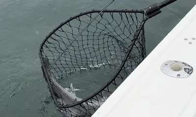 Montauk Report Video 0