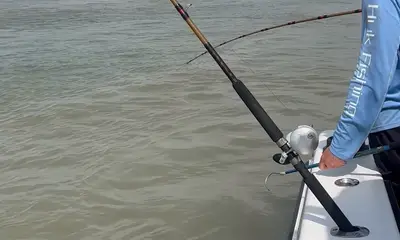 Galveston Bay Report Video 0