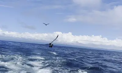 Quepos Report Video 0