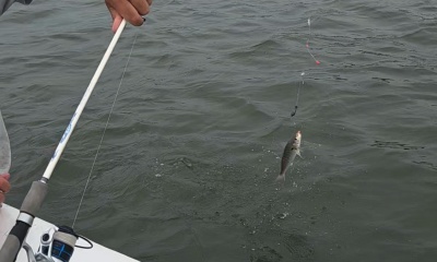 Perfect Fishing Trip for Families