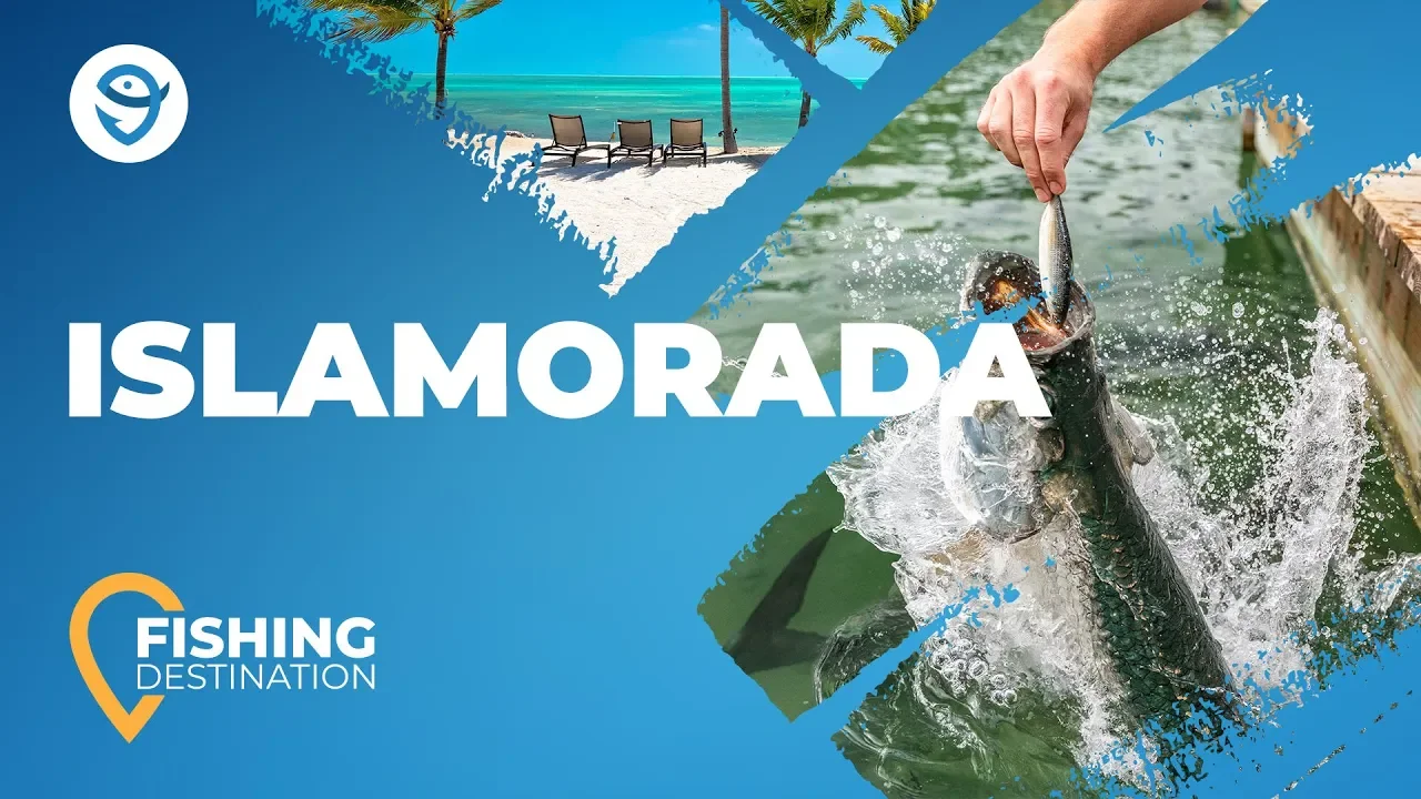 Islamorada Fishing Spots