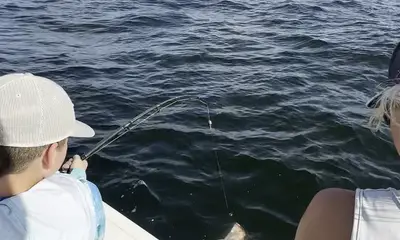 Dauphin Island Bericht Video 0