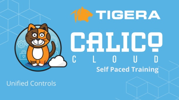 Unified Controls