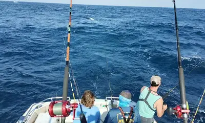 Cabo San Lucas Report Video 0