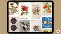 Lesson image