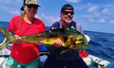 Puerto Vallarta Report Video 0