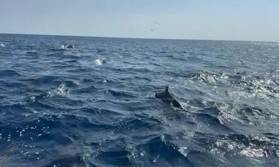 Wonderful day of fishing!