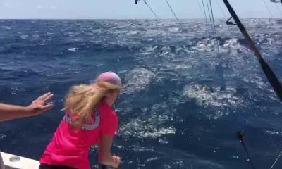 Atlantic Beach Report Video 1