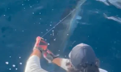 Pompano Beach Report Video 0