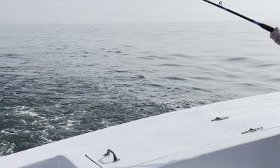 great trip 