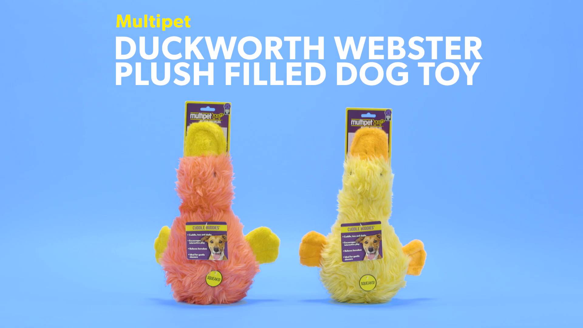 Assorted Colors 13 Inch Pack of 1 Multipet Duckworth Webster 