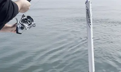 Hilton Head Island Report Video 0