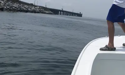 Norfolk Report Video 0