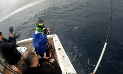 Sydney Report Video 0
