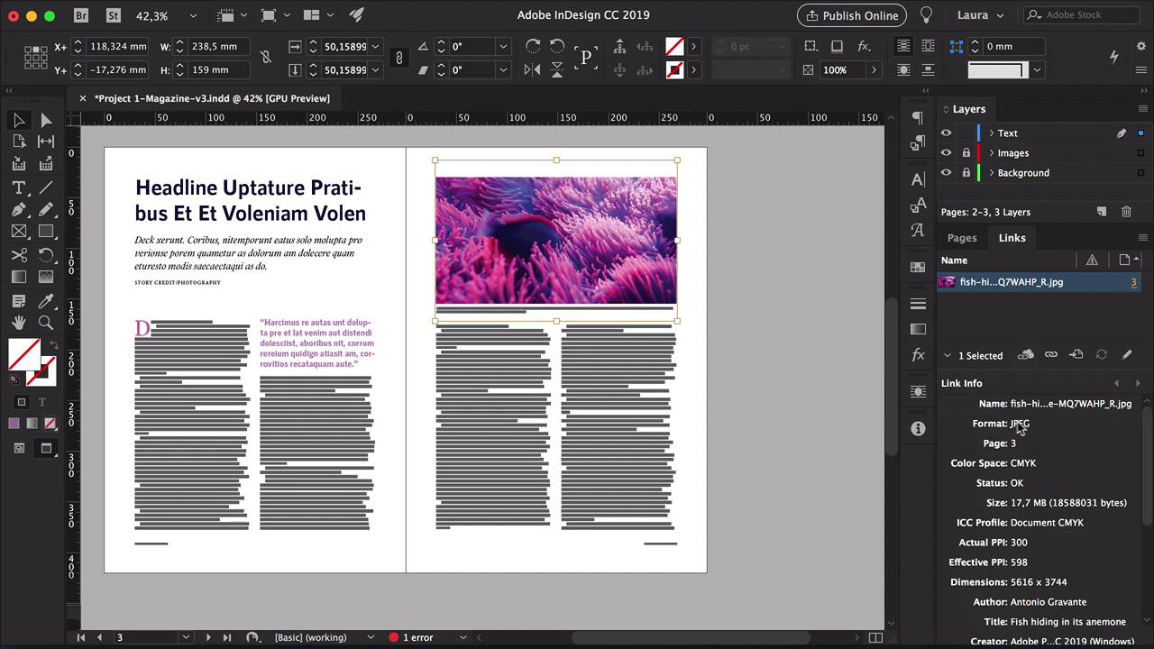 The Basics of Print Design - 3 Essential Steps for Importing Images