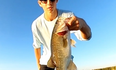 Fellsmere Report Video 0