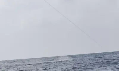 Black Marlyn on Accion 