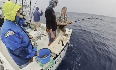 Fall chumming sction!