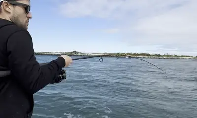 Mastic Beach Report Video 0
