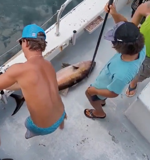 Swoop II Party Boat Destin - Updated 2024 Prices