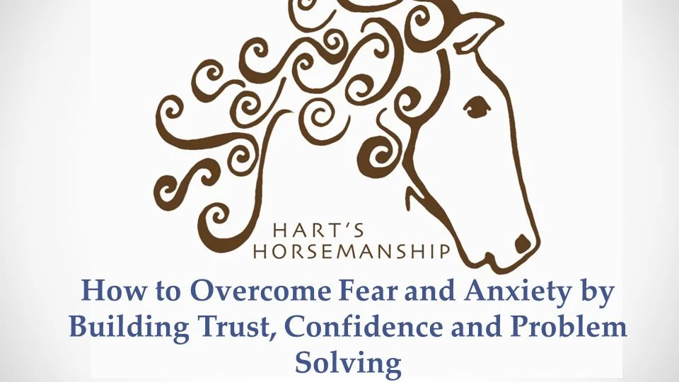 The Art of Building Trust with Your Horse