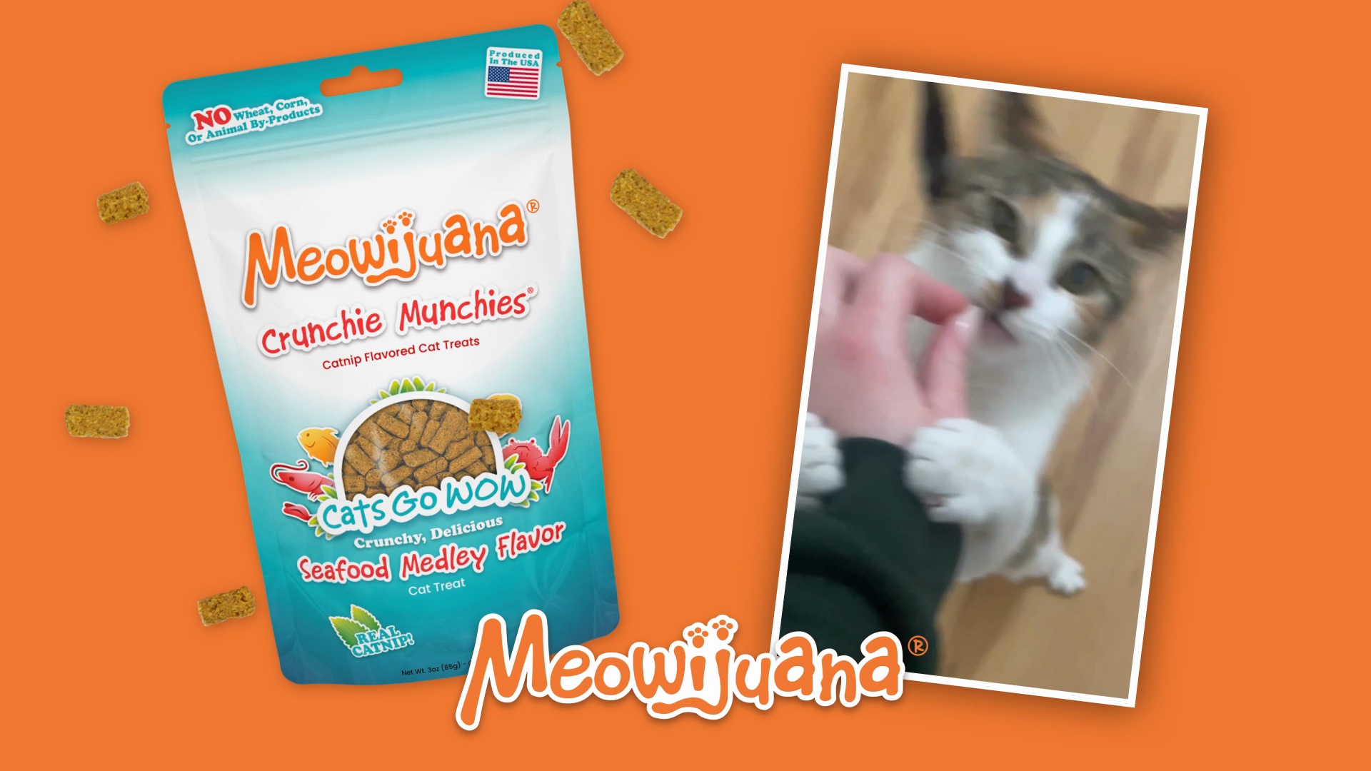 MEOWIJUANA Crunchie Munchie Seafood Medley Catnip Crunchy Cat