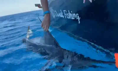 Quepos Verslag Video 0