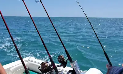 Murrells Inlet Report Video 1