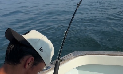 Fish, Fish and more \ud83d\udc1f \ud83d\udc1f\ud83d\udc1f