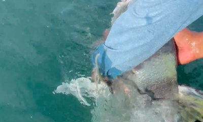Herradura Report Video 0