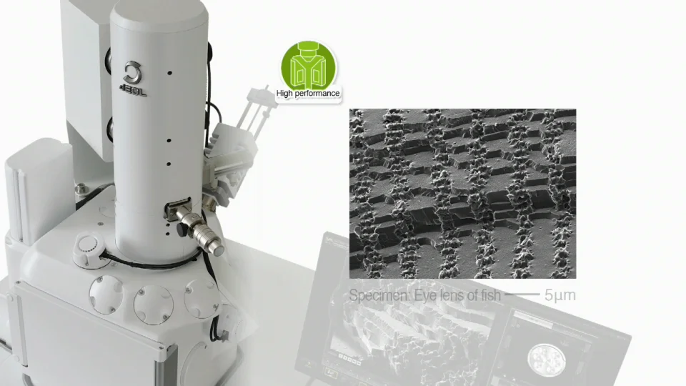 Microscope électronique à transmission - JEM-F200 - Jeol - pour