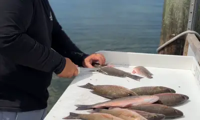 Caught dinner plus more!!