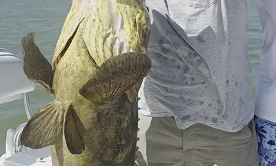 Marco Island Видео отчет 0