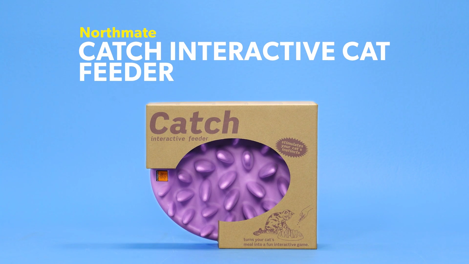 Catch interactive shop cat feeder