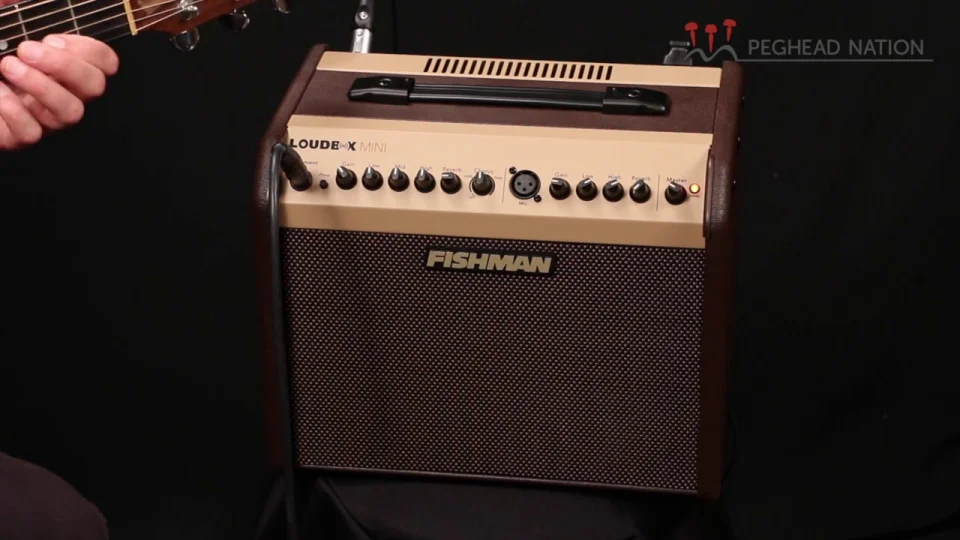 Fishman Loudbox Amps - Peghead Nation