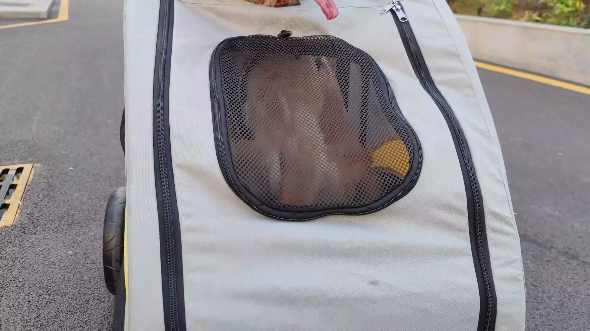 BINGOPAW Foldable Dog & Cat Stroller, Grey, X-Large - Chewy.com