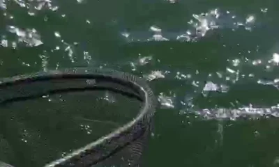 Biloxi Report Video 0