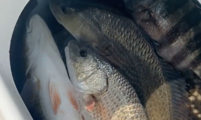 Lake Charles Report Video 0