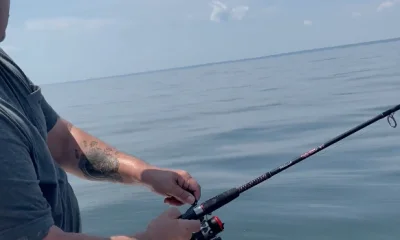 Chesapeake Beach Report Video 0