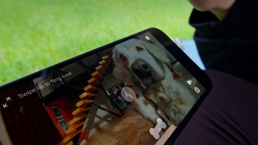 Play Video: Learn More About Petcube From Our Team of Experts